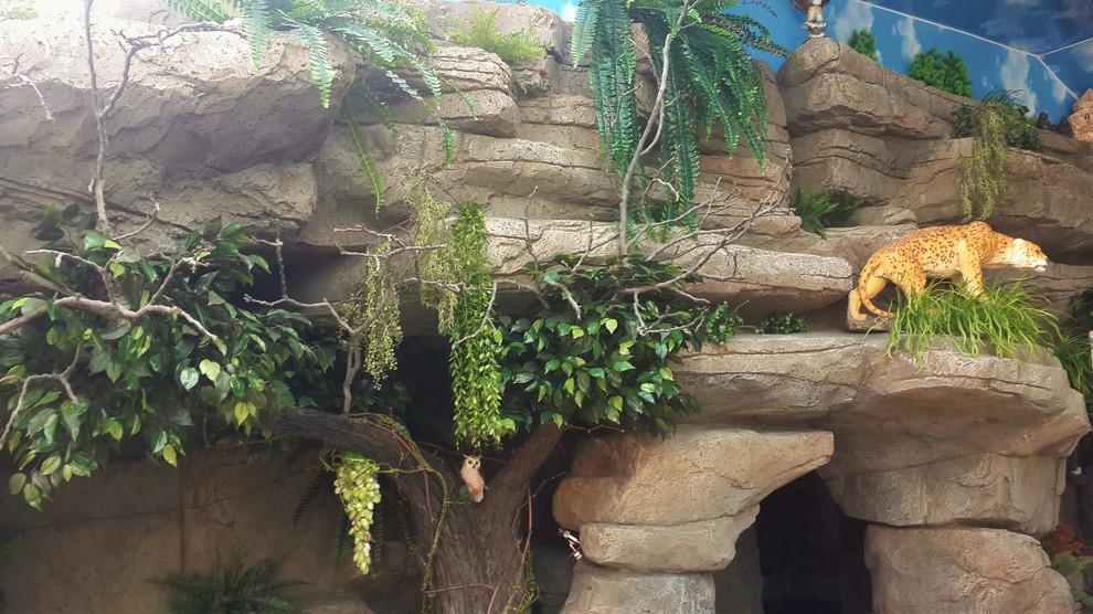 Обложка проекта: Искусственные скалы.