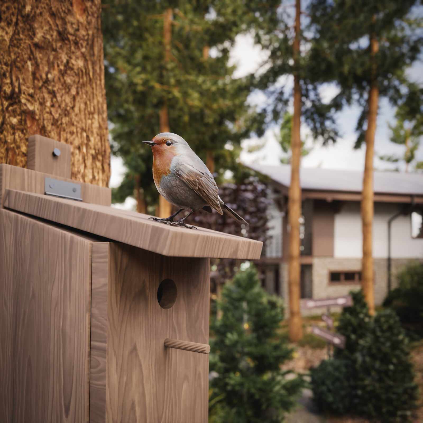 Лесные просторы