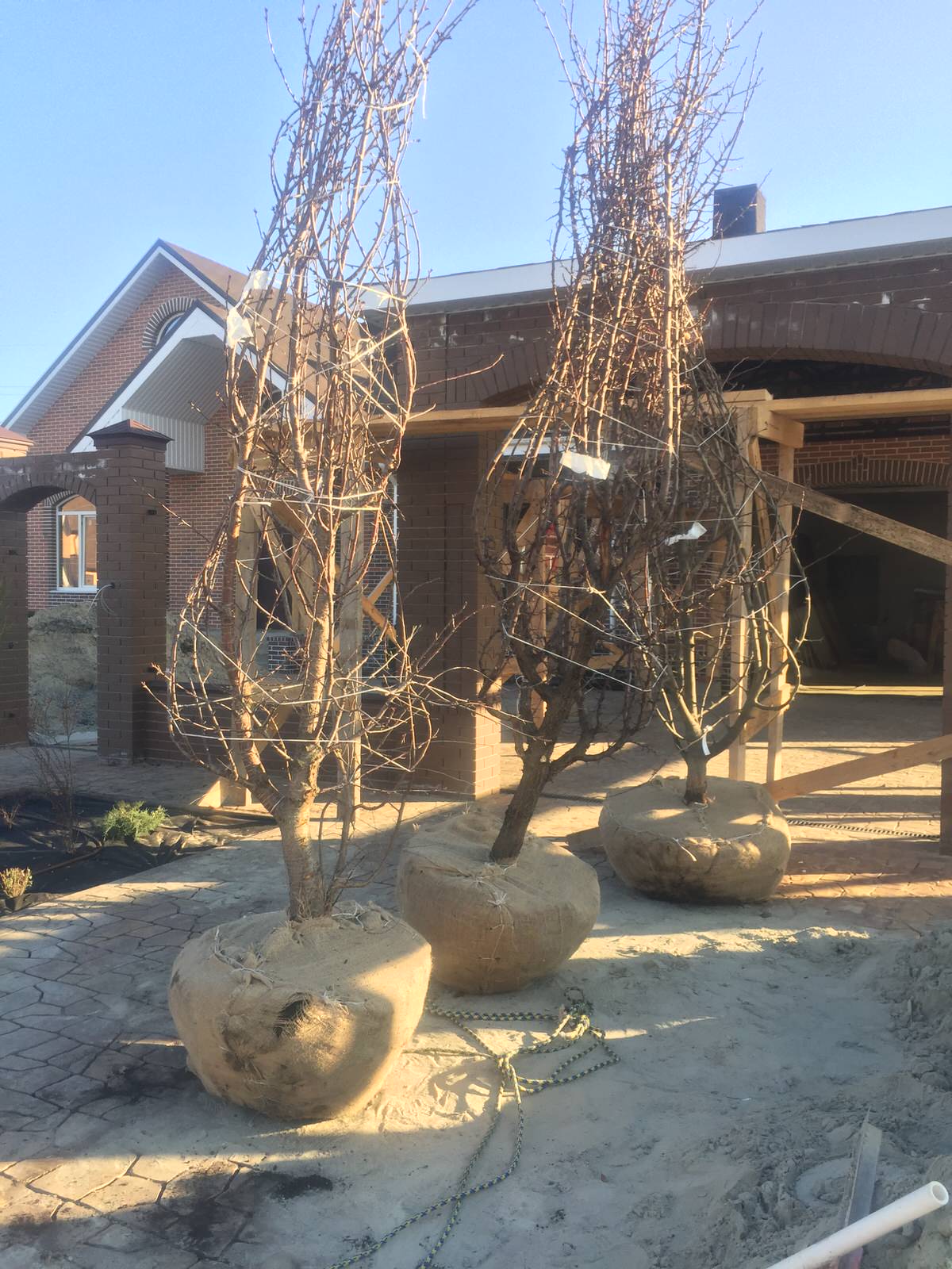 Московская