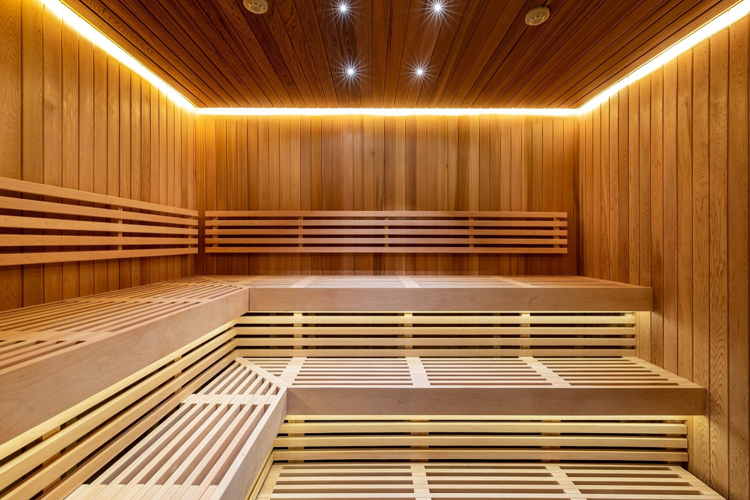 Обложка проекта: Жуковка