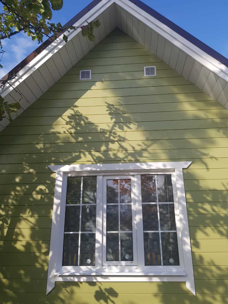 Обложка проекта: Покраска деревянного дома в п.Дунай