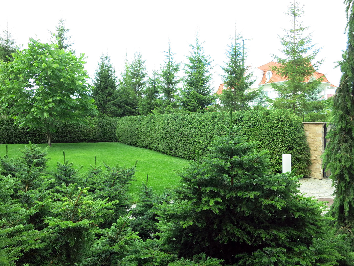 Сад с геометричным водоемом