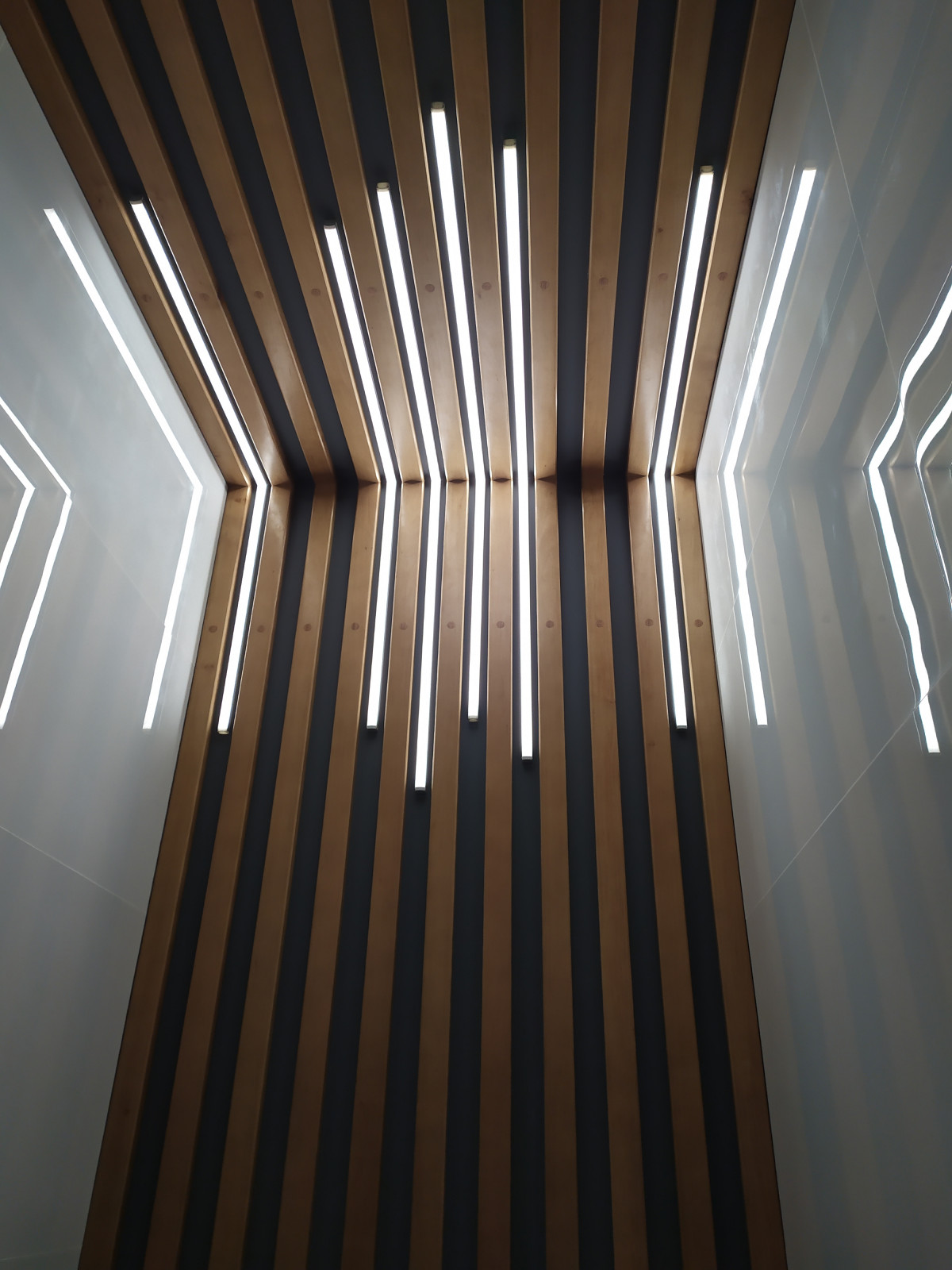 Михаил Доля