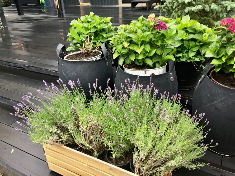 Дом под Рузой