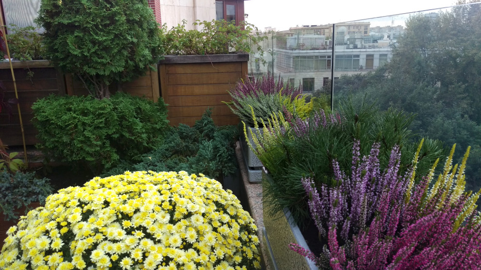 Обложка проекта: Сад на балконе