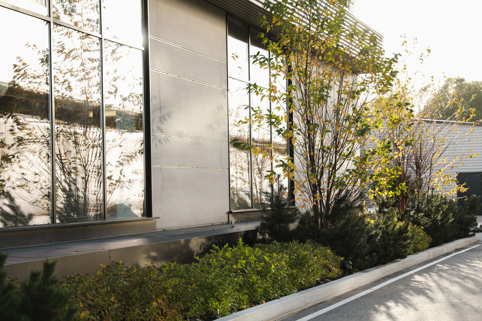 Оформление территории у офисного здания