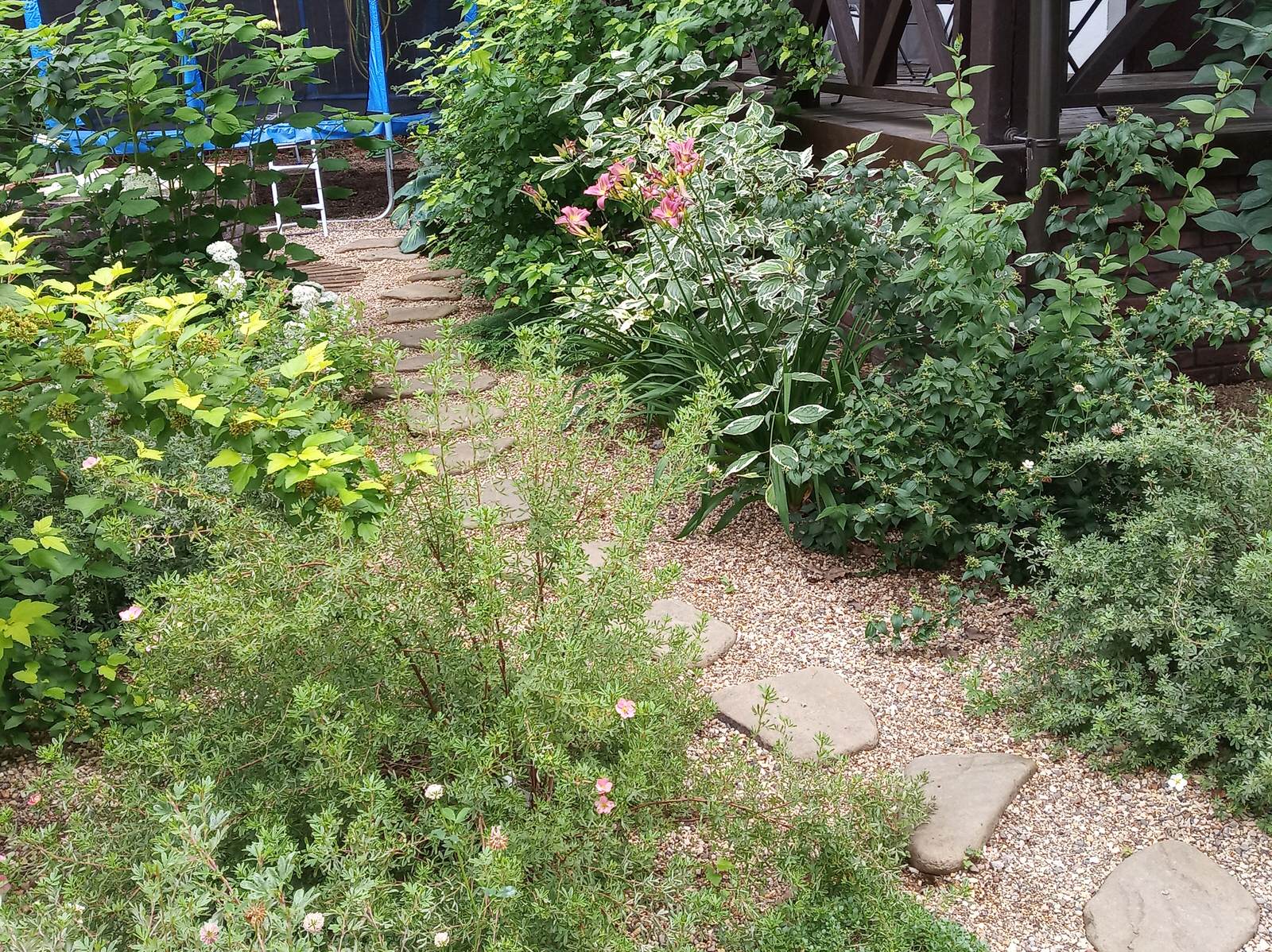 Сад в Рожновке