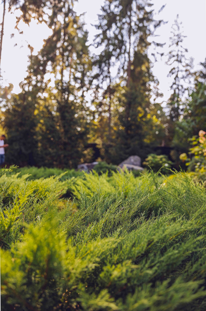 Архитектурное Решение в Пейзажном Стиле