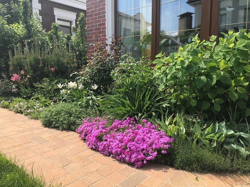 Обложка проекта: Ландшафтный дизайн таунхауса