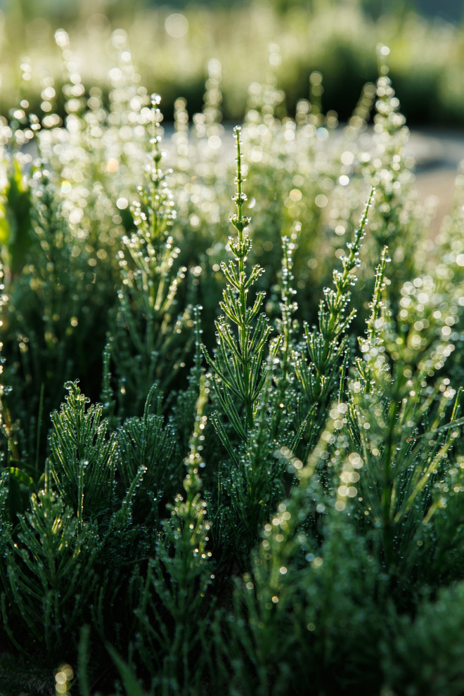 Отель Basic, Ворсма