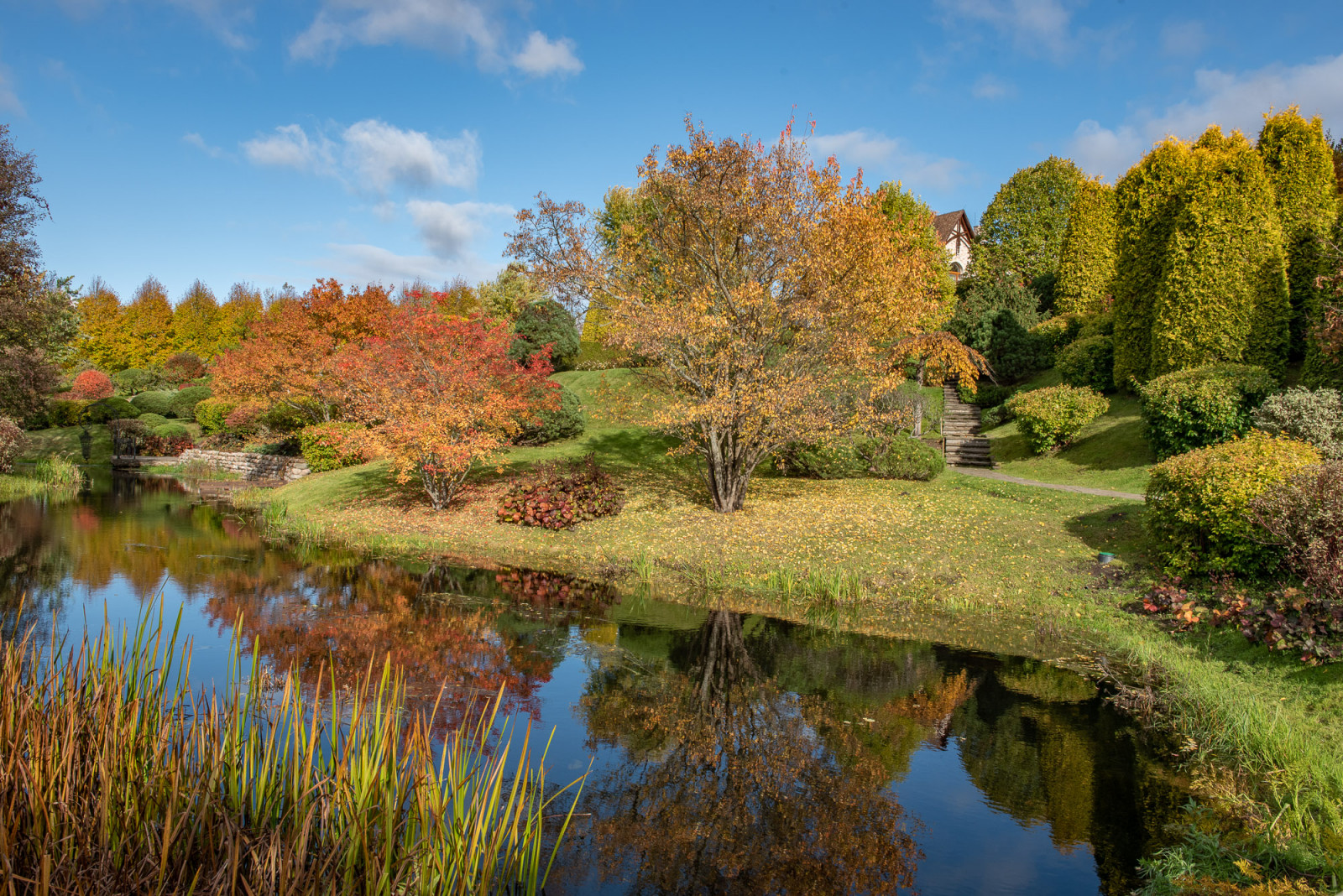 Ореховно. Музей-Усадьба.