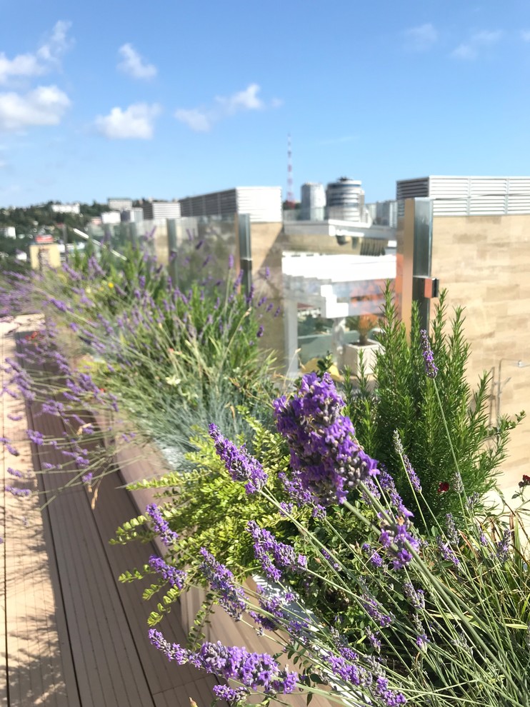 Пентхаус в Сочи