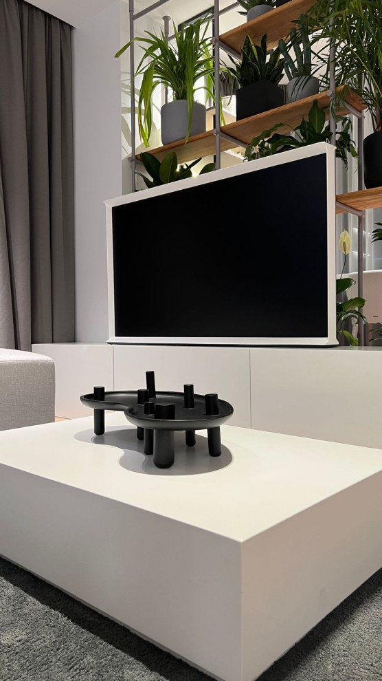 Фотосессия  - двери, мебель и перегородки в московской квартире