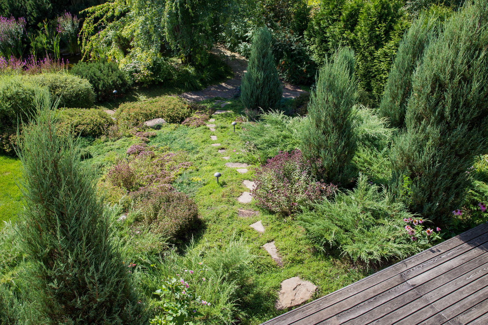 Garden of Elena Astashkina in Moscow Region