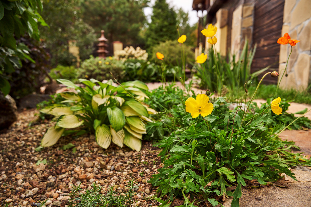 Японский садик "Живи,созерцая..."