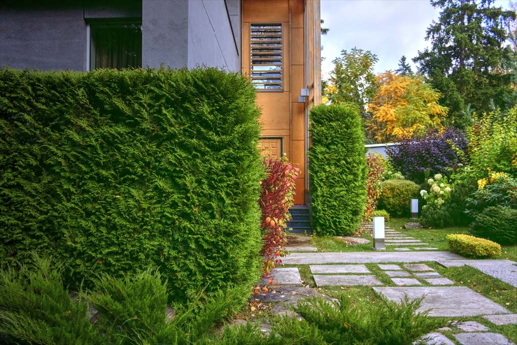 гравитация