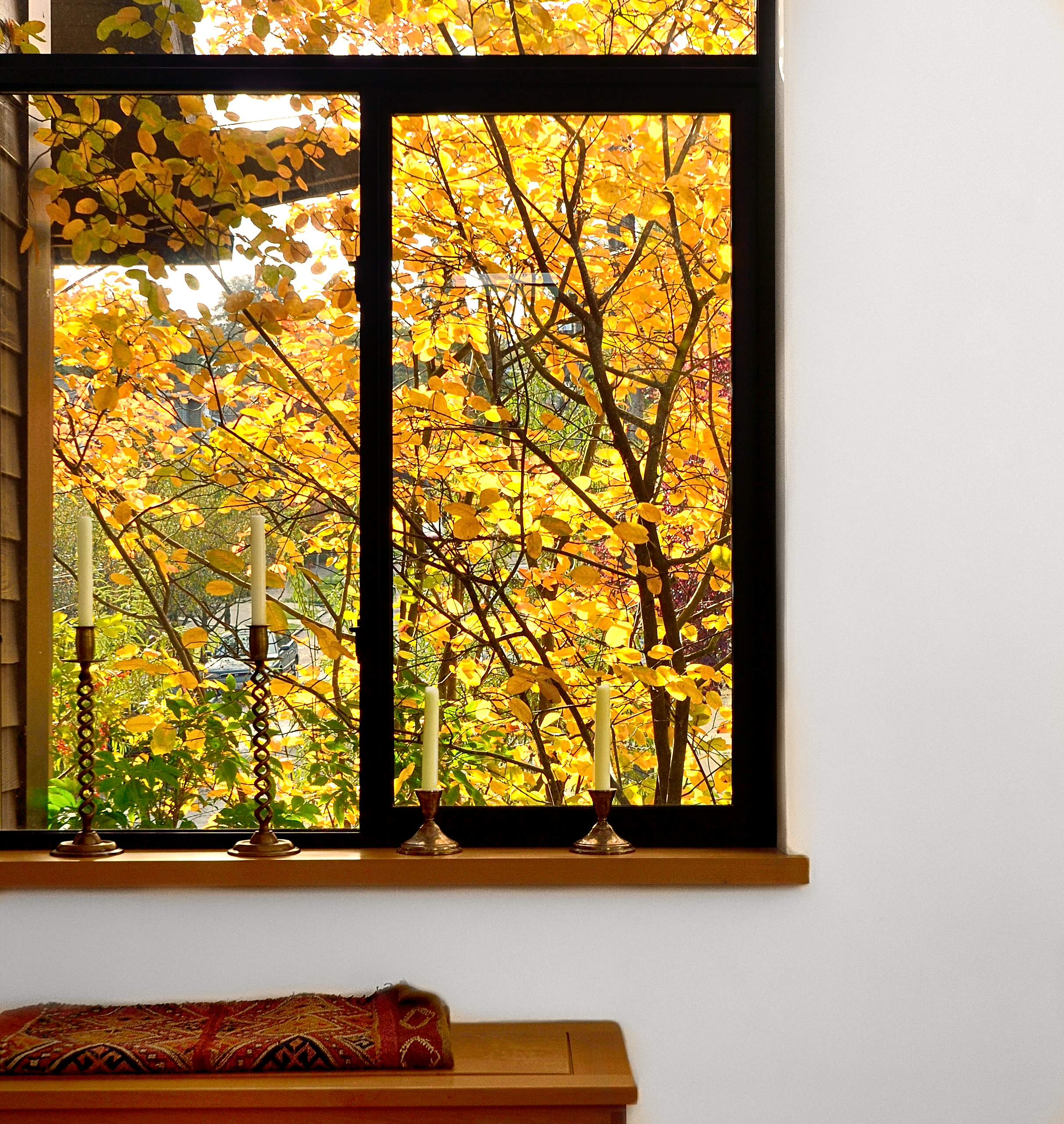 Календарь на октябрь: Работы в саду и на даче