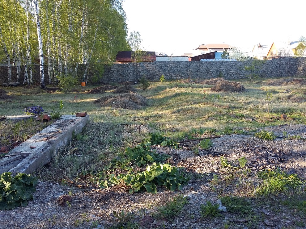 Белый ветер