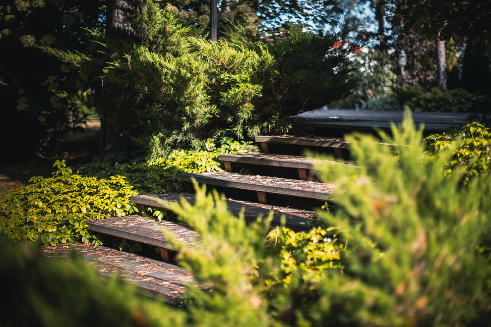 Сад в лесу в Московской области