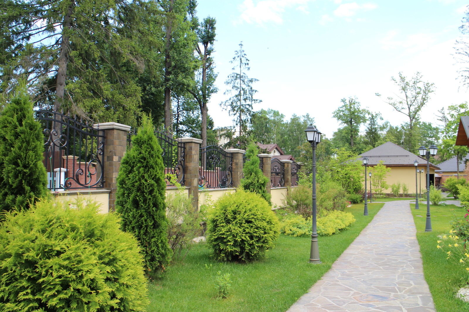 посёлок Сосны