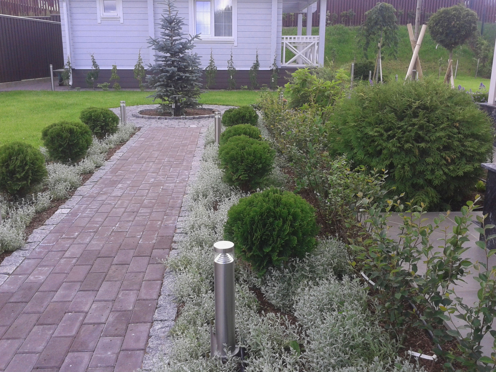 Маленький сад в Колтушах