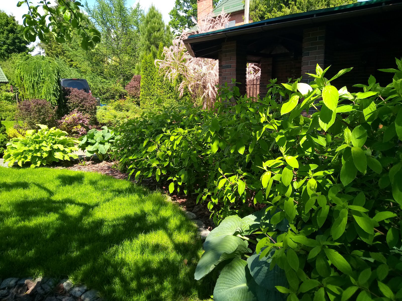 Уход за растениями г. Калининград