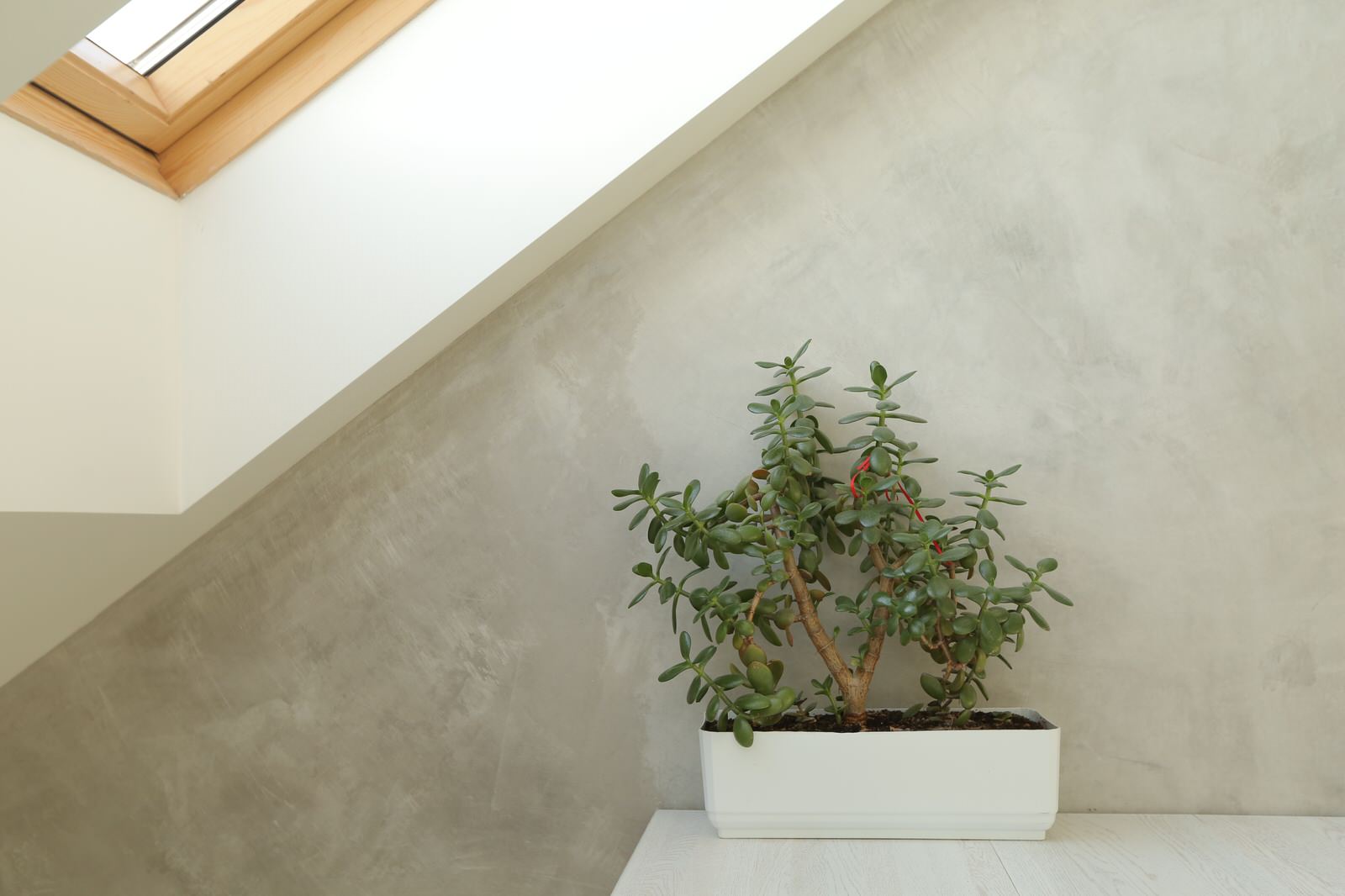 loft for young man with russian patterns