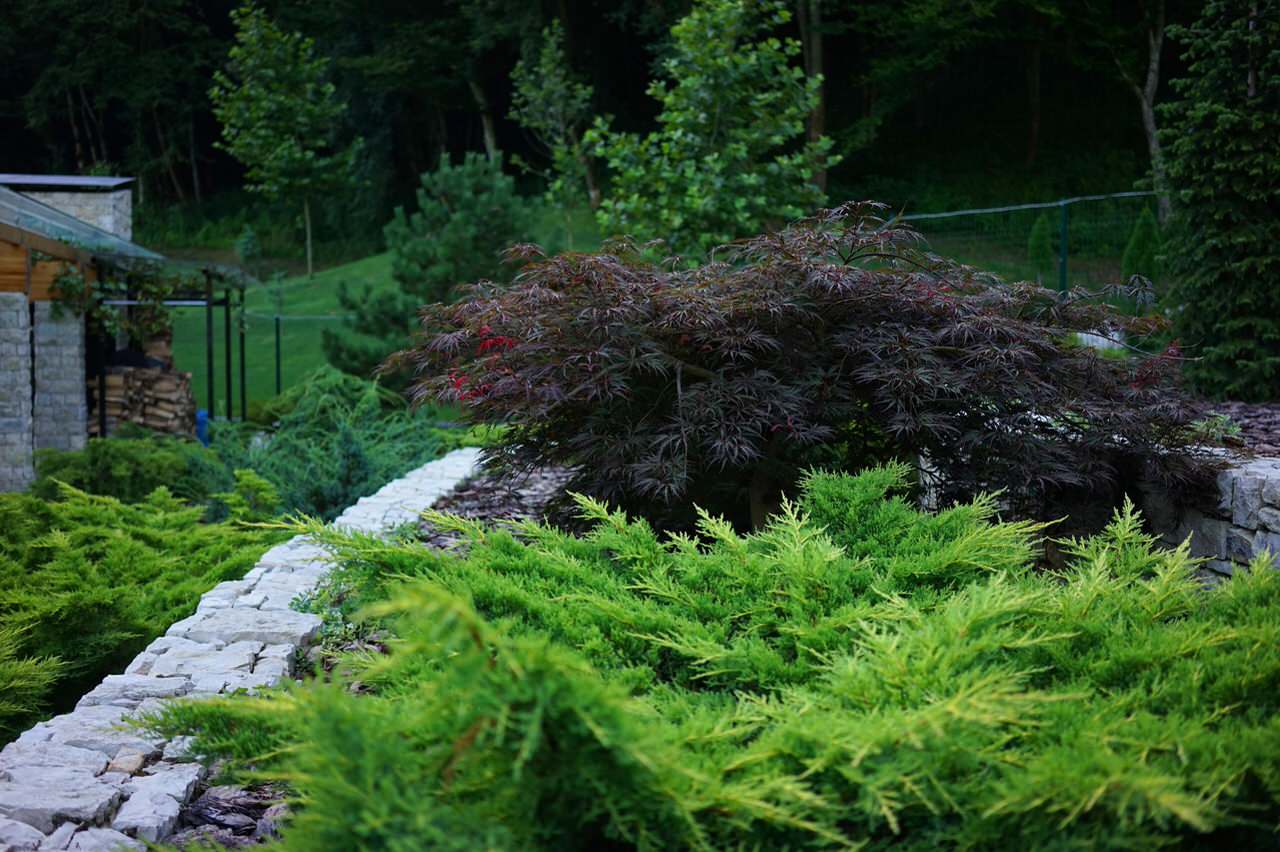 Лазурный Берег Сочи