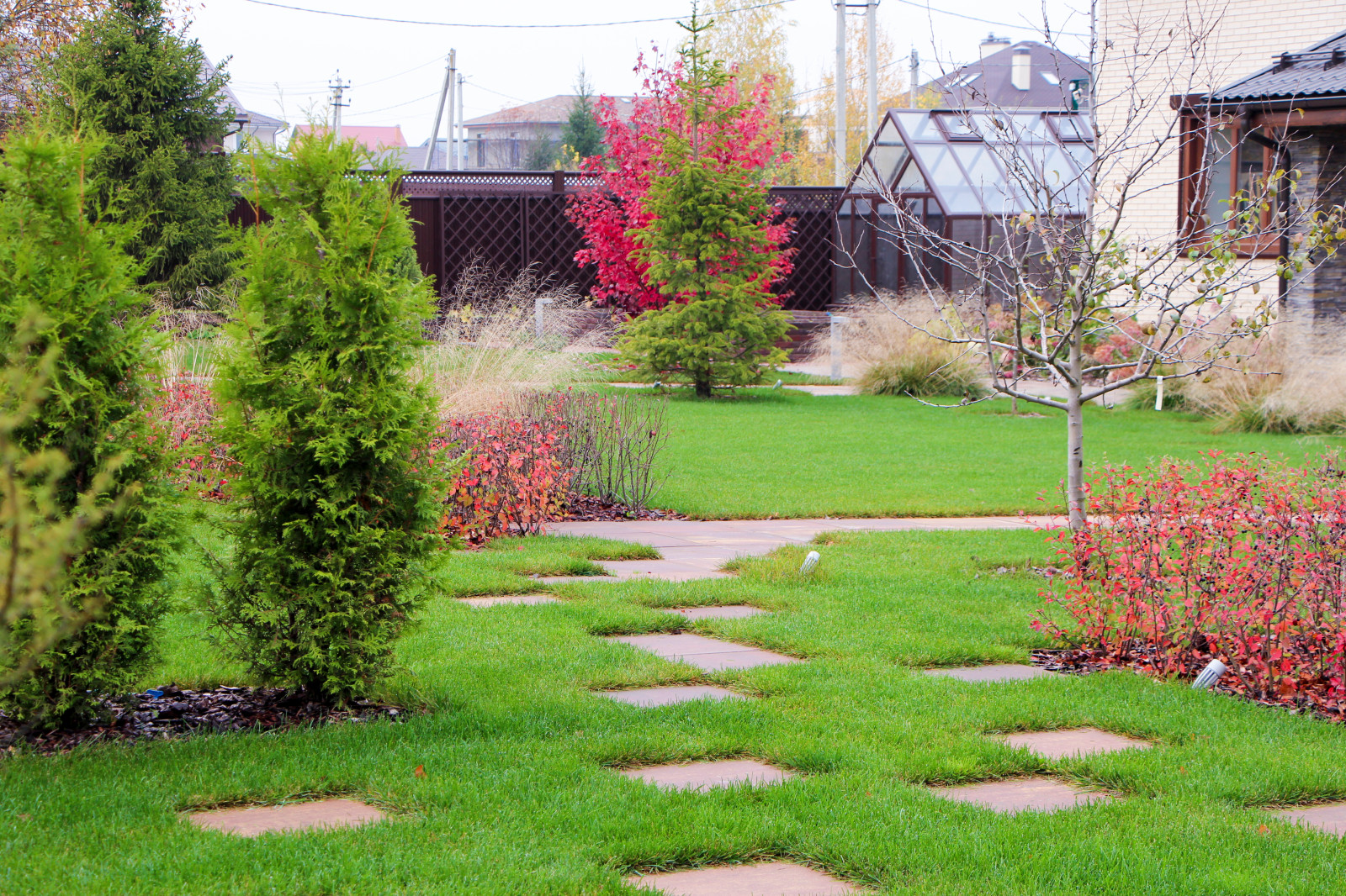 Петровское, 2018-2020 гг.