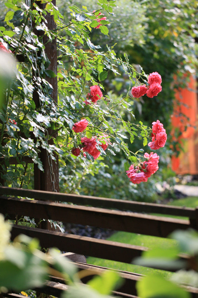 Преображение