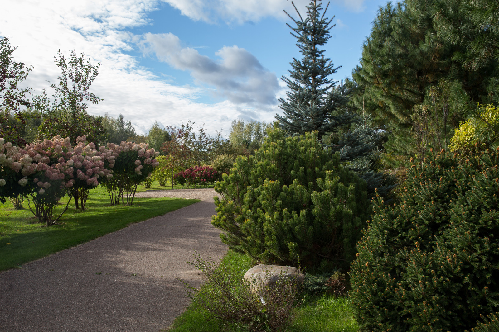 Парк в  Шаховском районе
