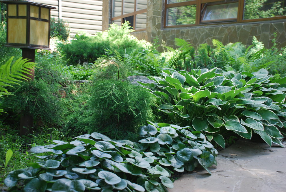 Лесной участок в КП "РИИТА"