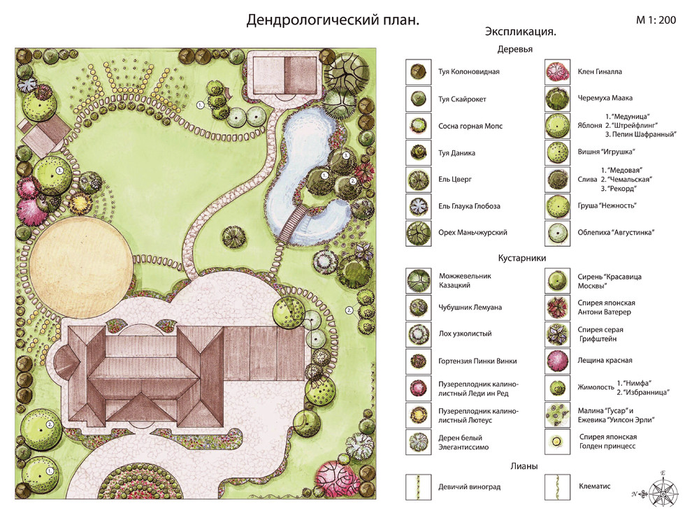 Обложка проекта: Эскизы ландшафтного дизайна участка 20 соток