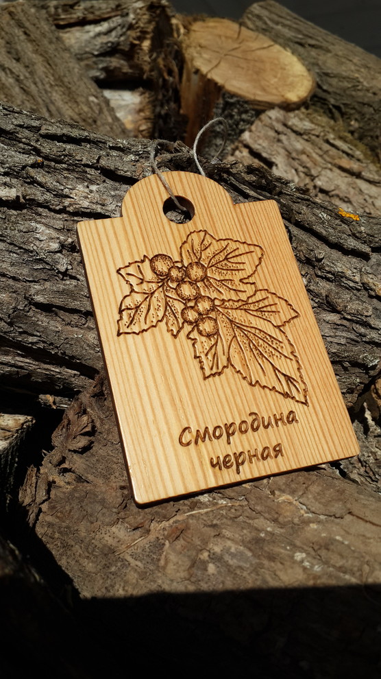 Идеи modnyegriadki