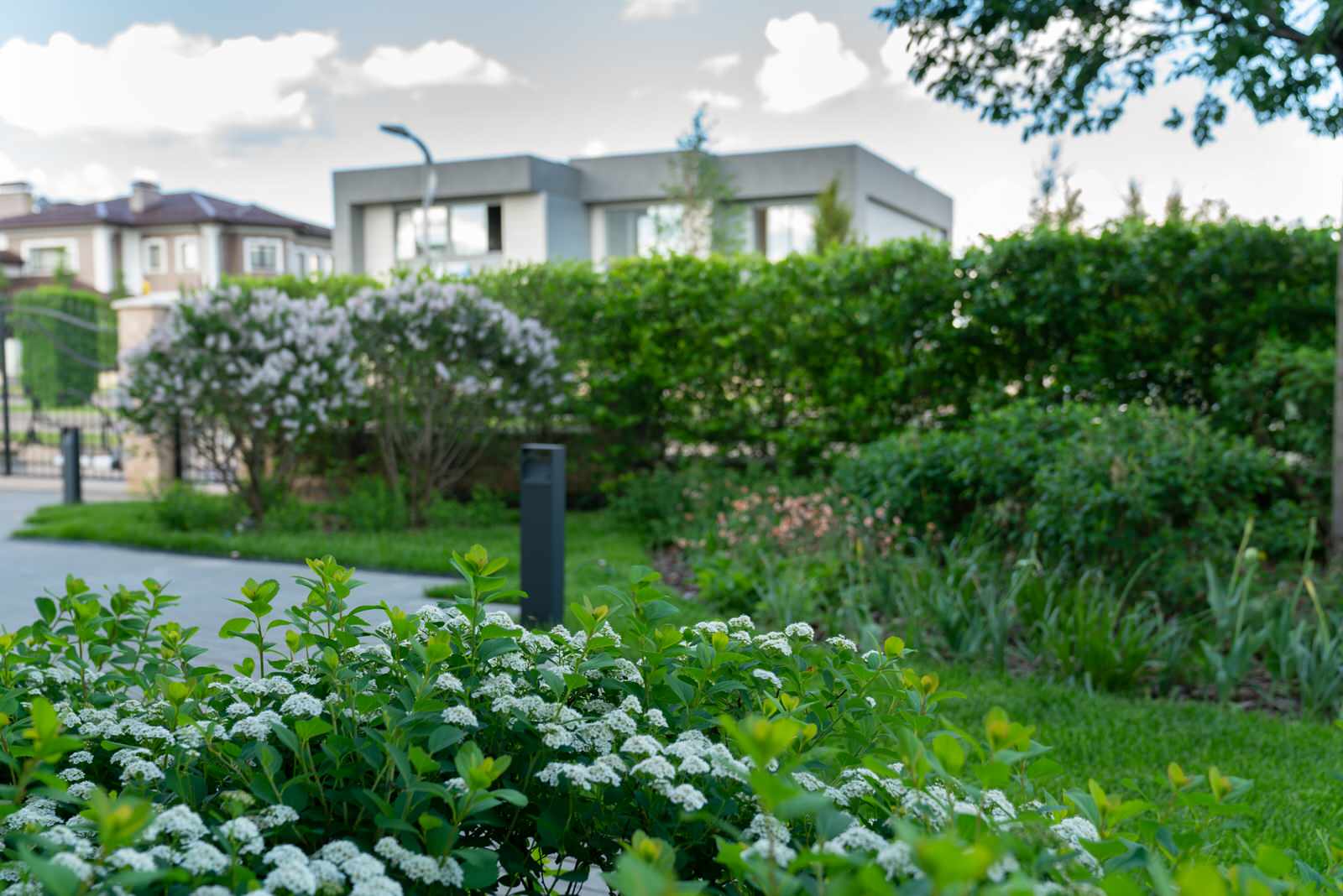 Игра контрастов. Миллениум Парк 2018 г.