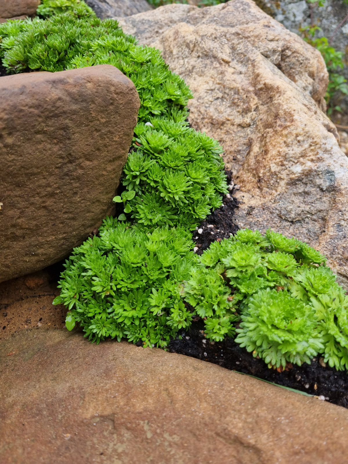 В работе 2023 и старше