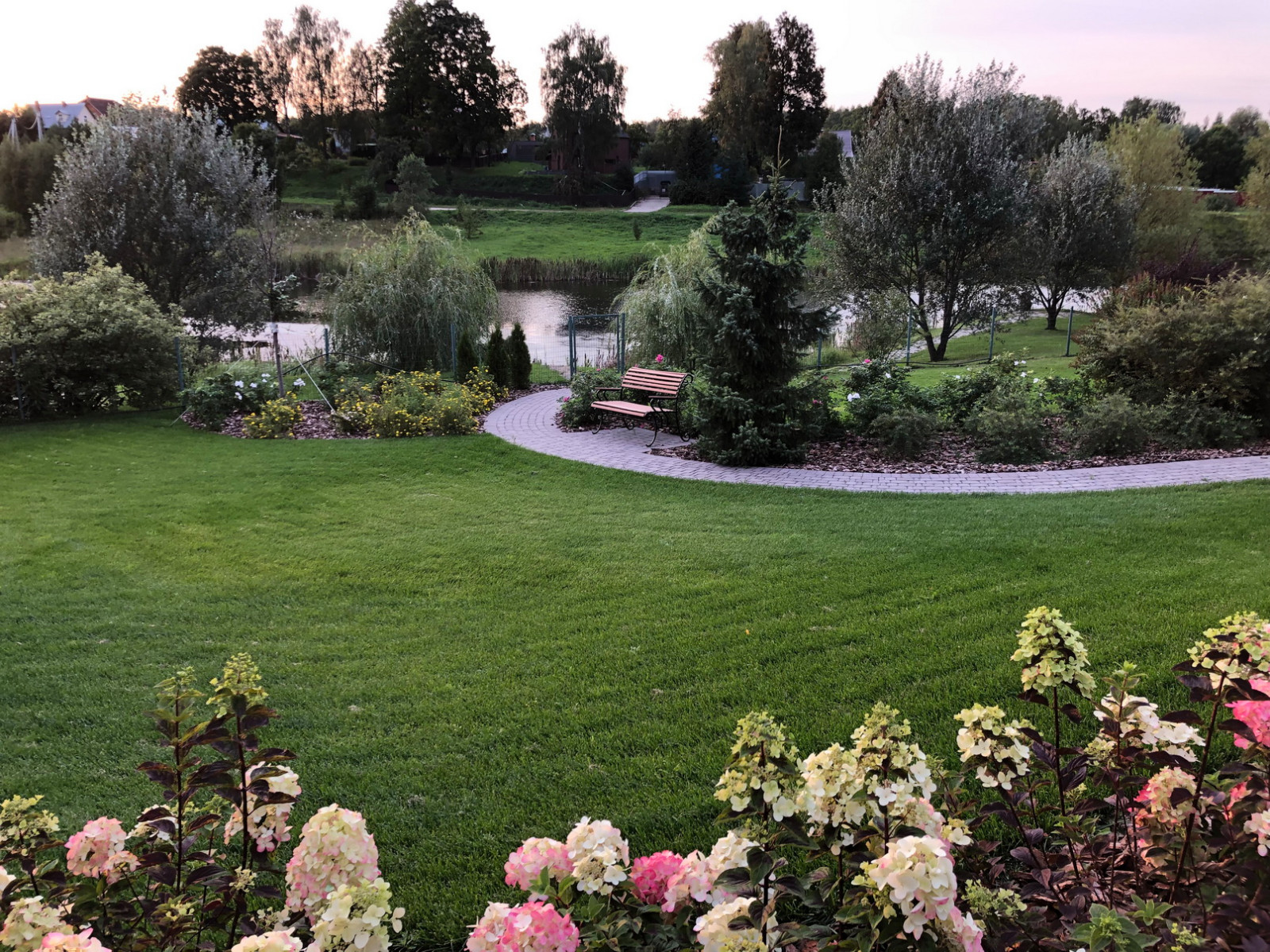 Проект недели: Фиолетовый сад трав