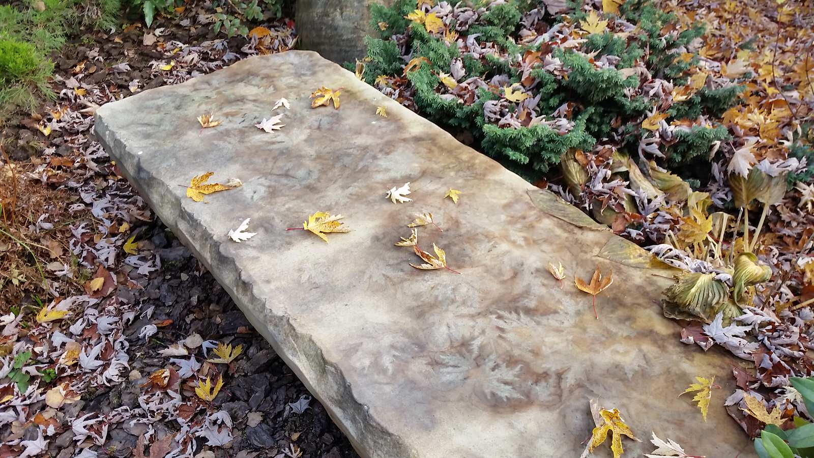 Ландшафтный проект 5