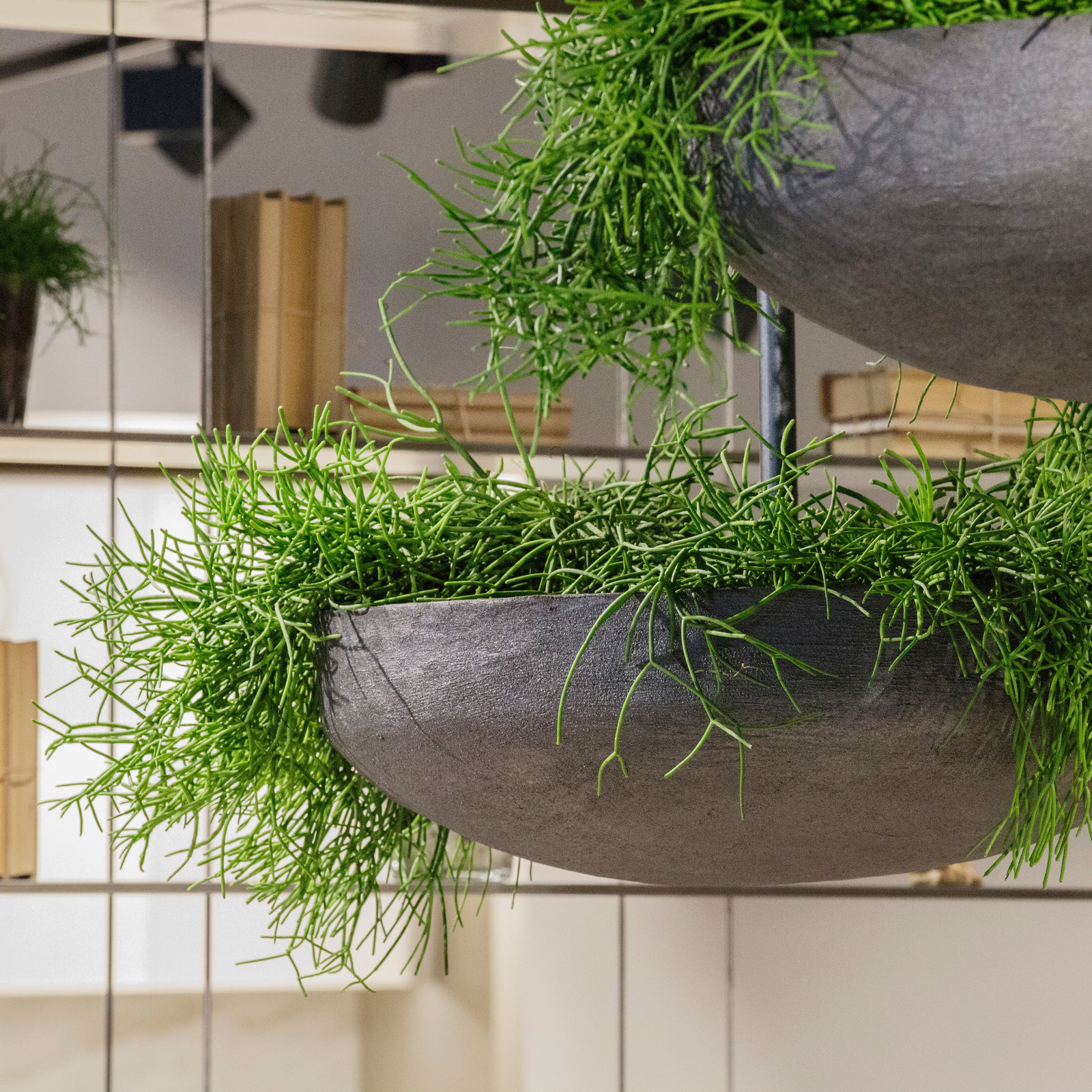 Интерьерные кашпо