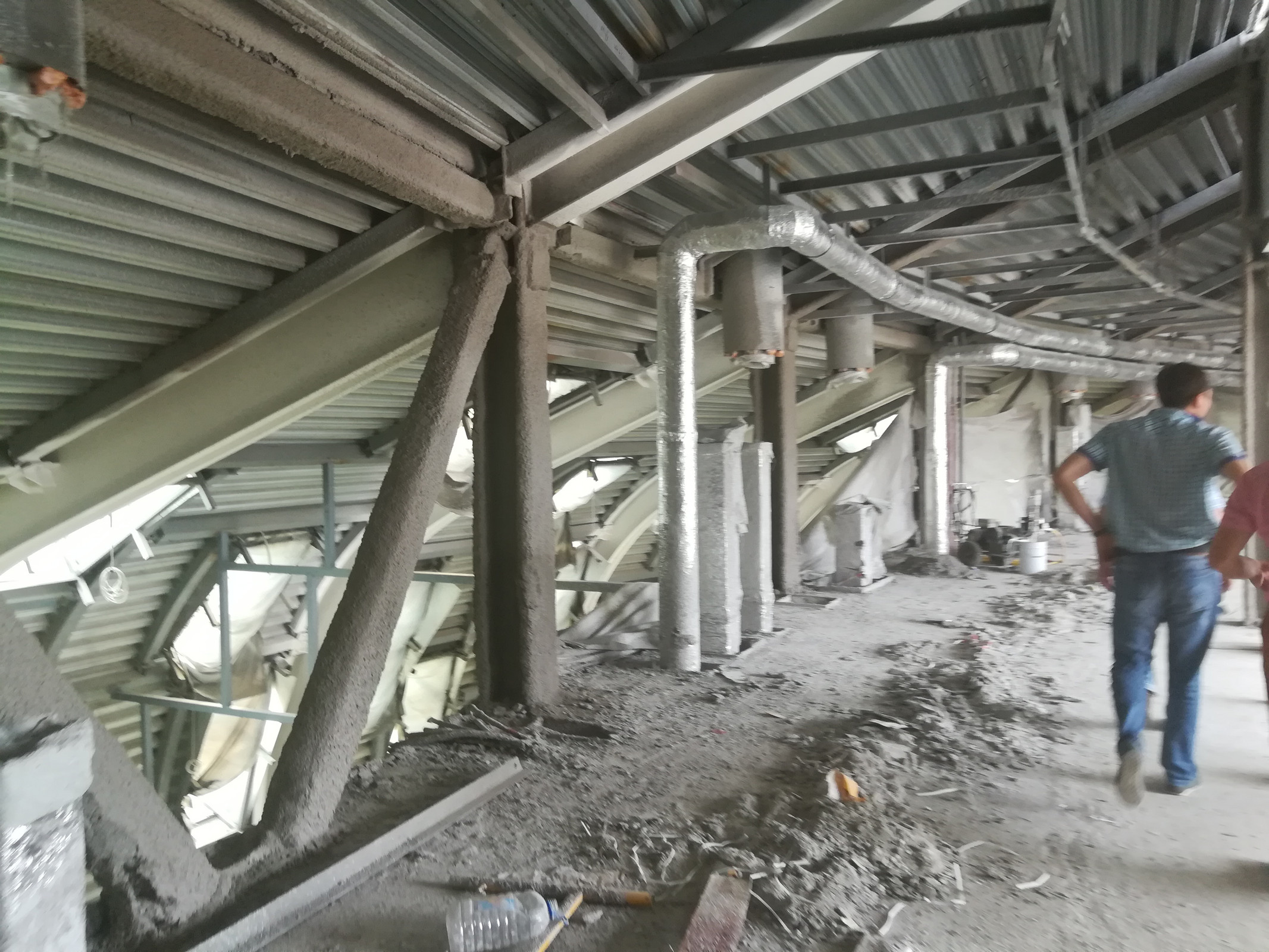 "Сириус" школа для одаренных детей