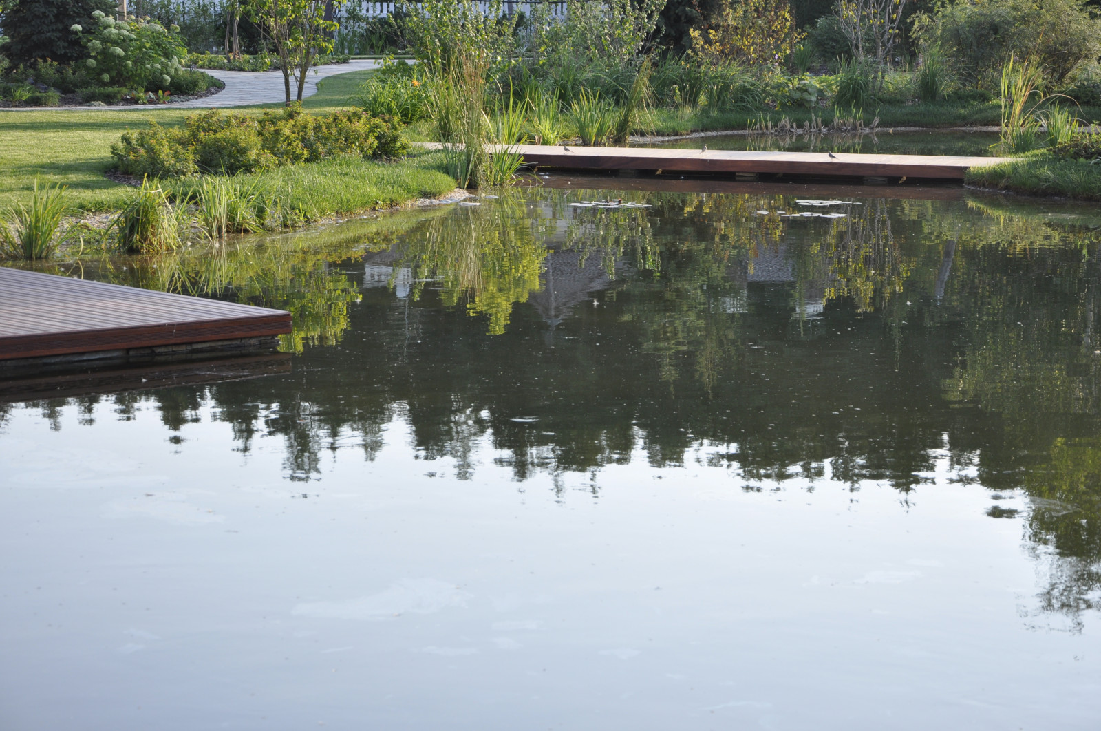 Ландшафт в поселке "Бенилюкс"