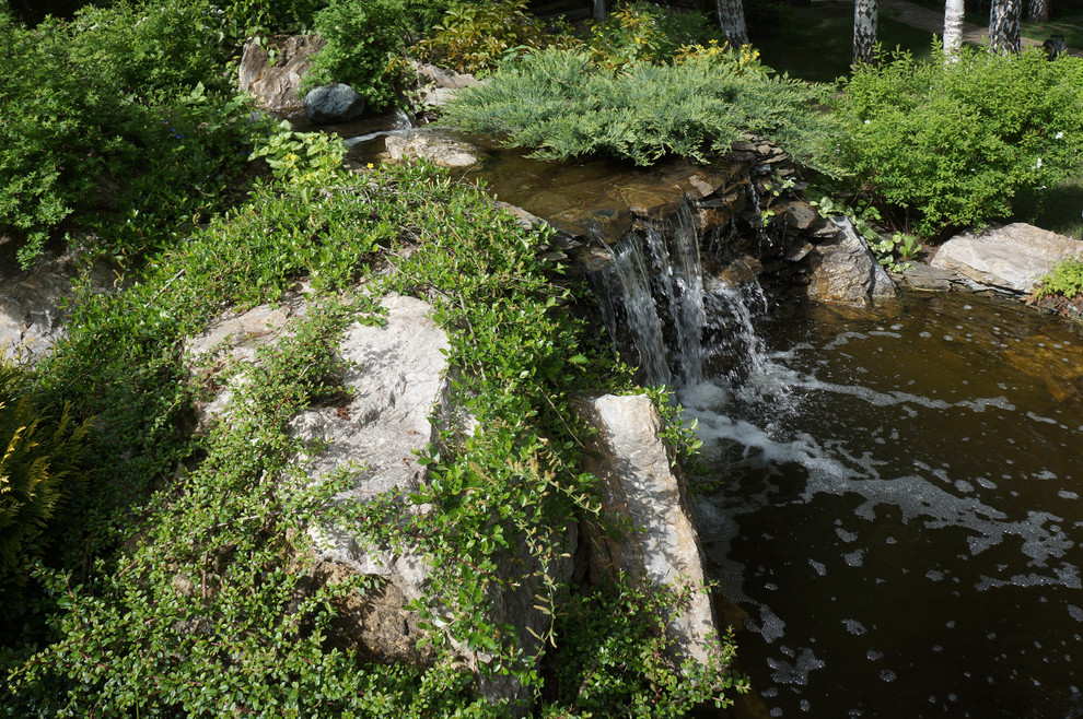Наши водные объекты