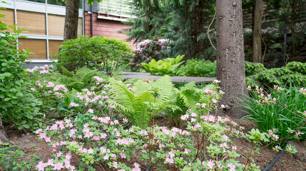Сад с японским характером в КП  "Ландшафт", Усово 2010 г