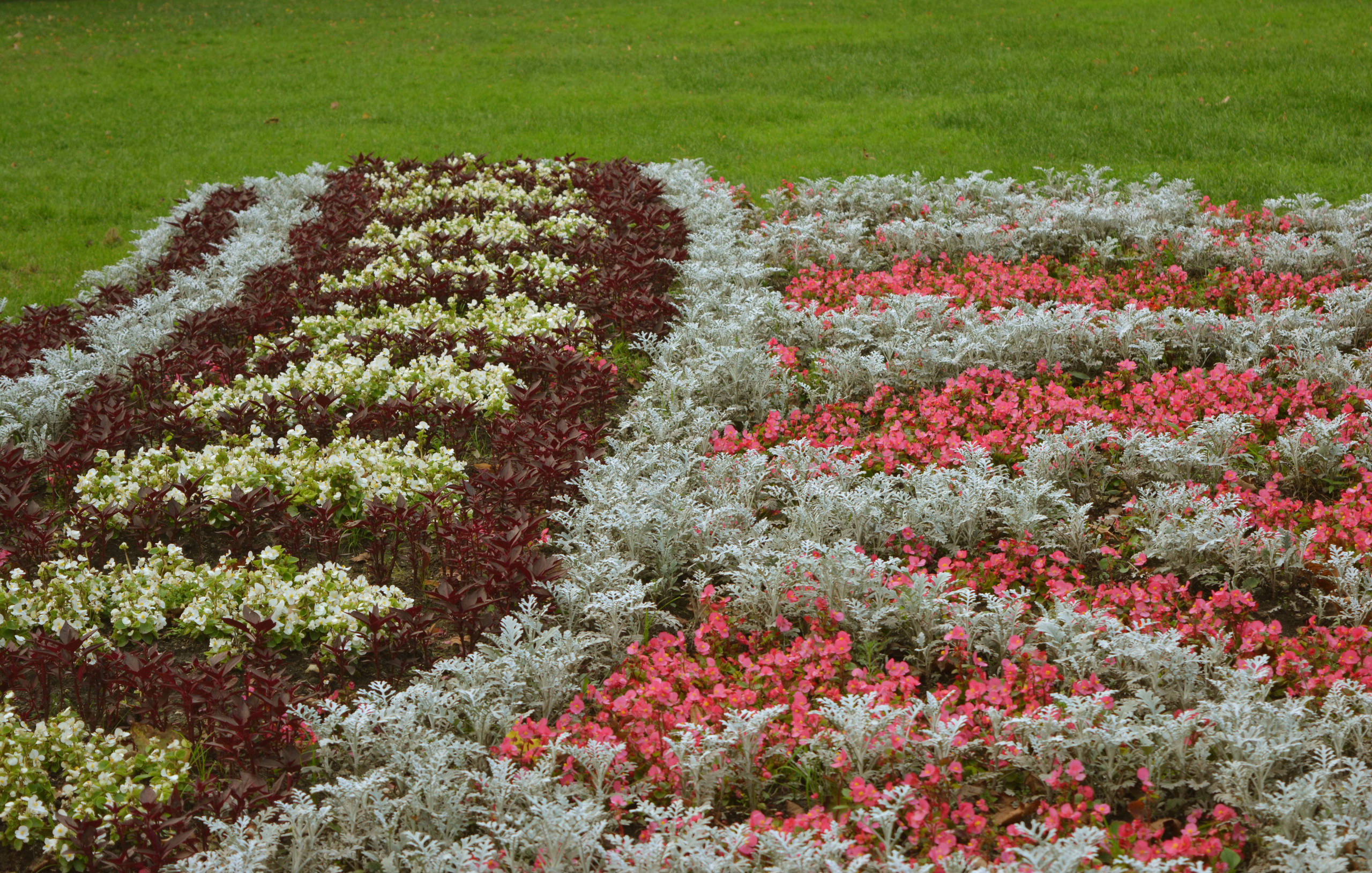 Хороший вопрос: Что посадить — однолетники или многолетники?