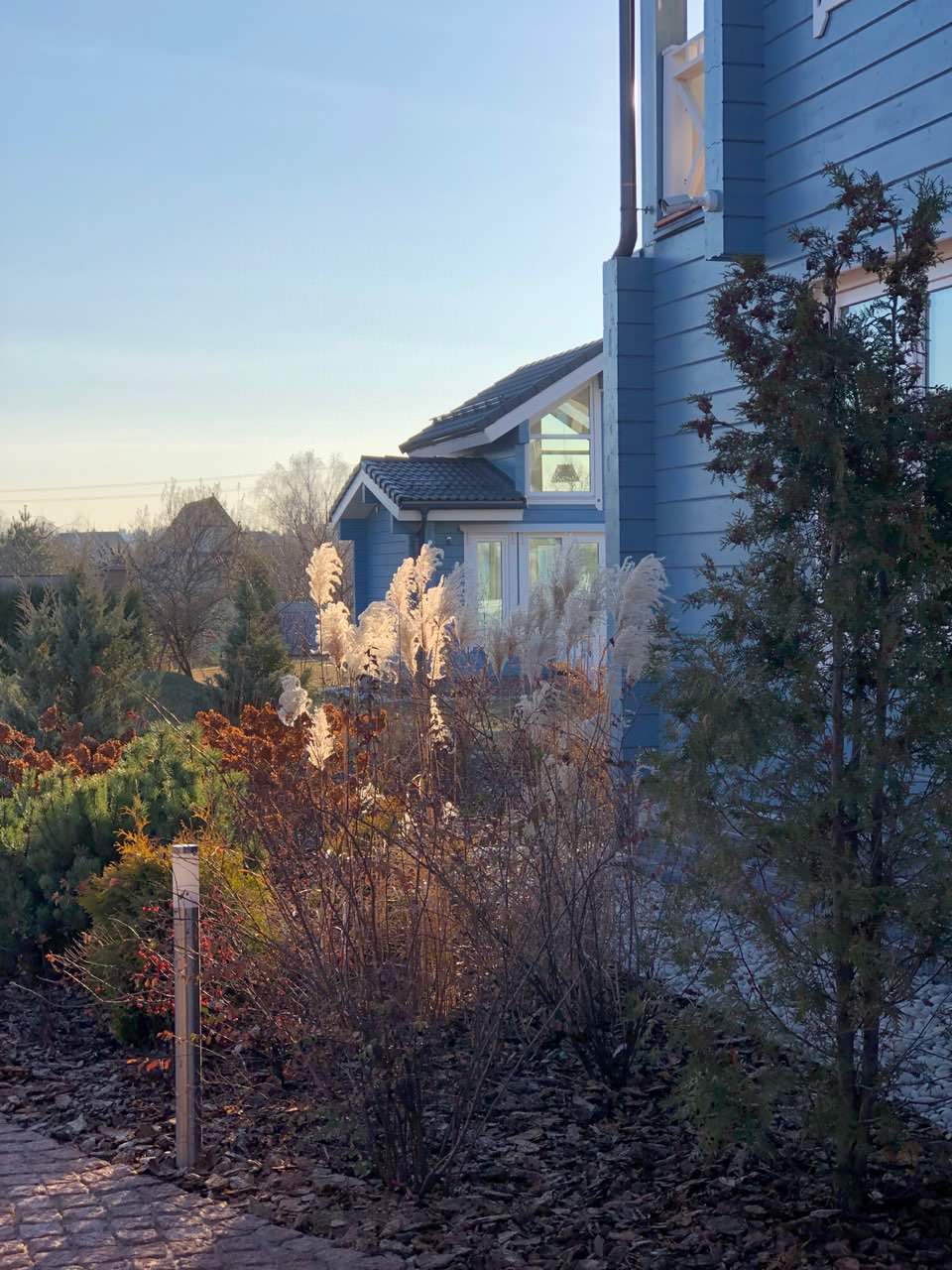 Обложка проекта: Голиково