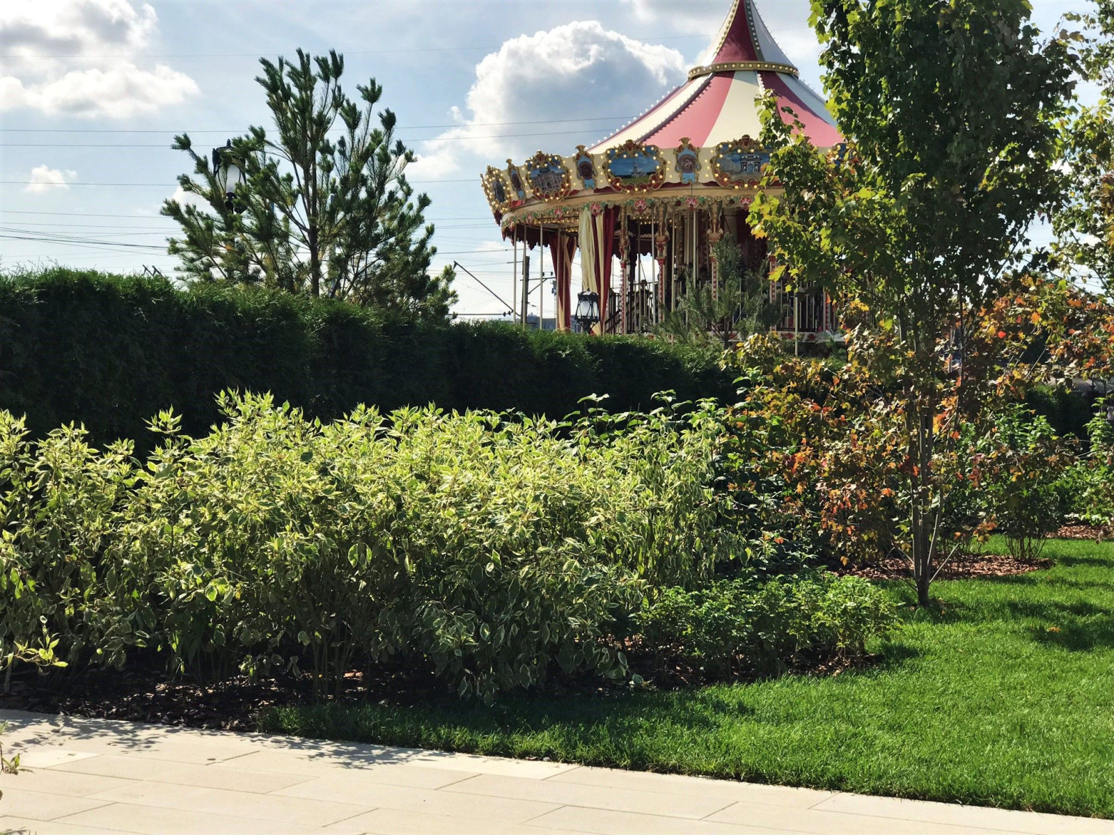 Обложка проекта: Парк Матвеевская