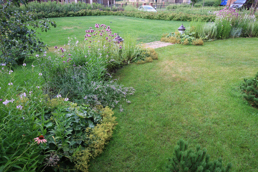 Бельгийка 01