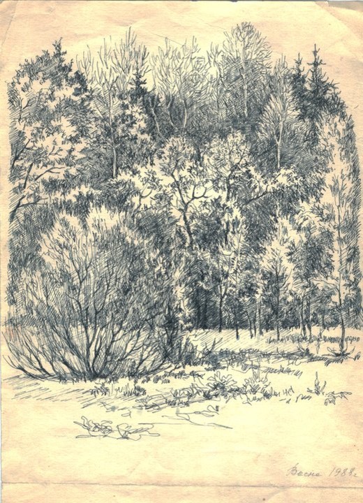 Мои черно-белые рисунки