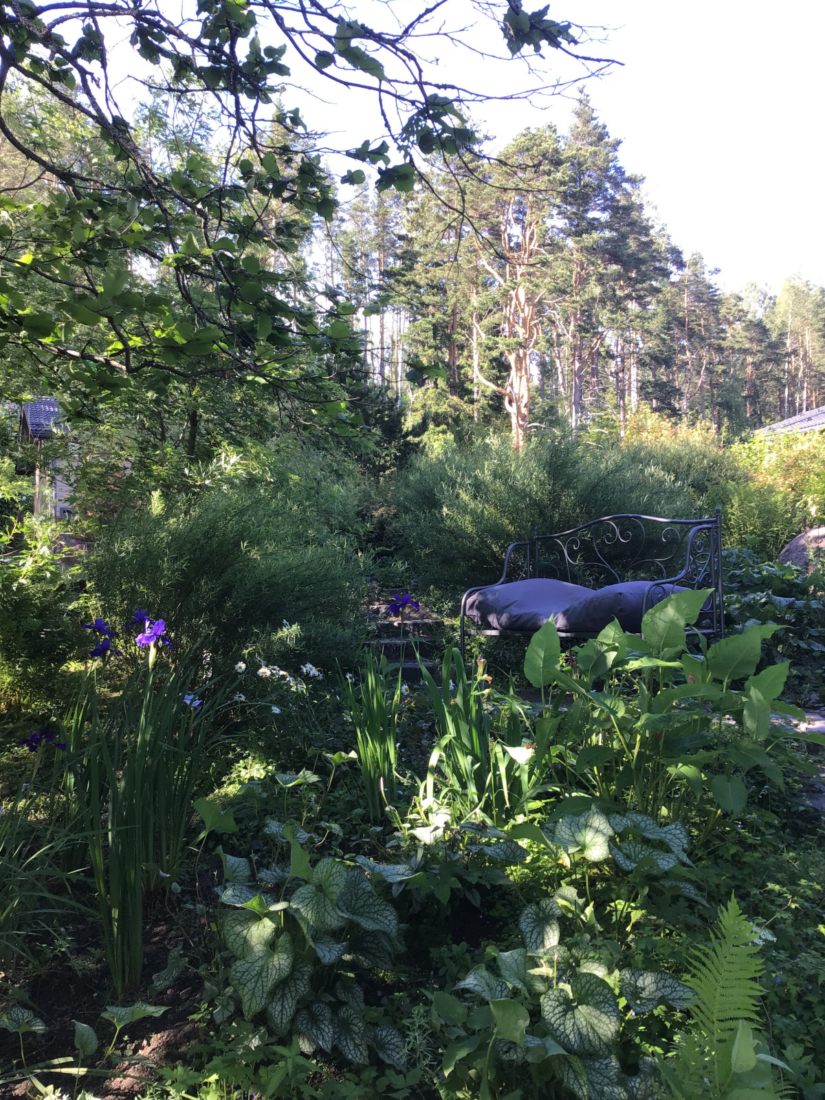 Сад натуралистического стиля