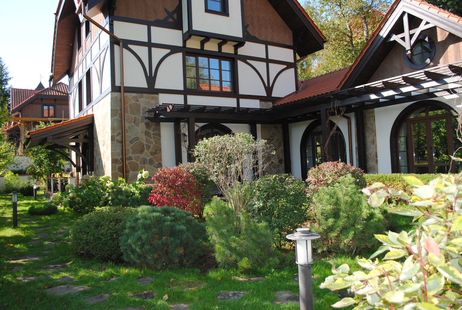 Обложка проекта: Осенний лес.Дмитровское шоссе